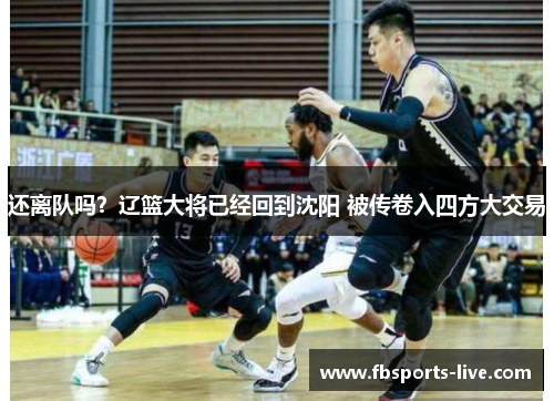 还离队吗？辽篮大将已经回到沈阳 被传卷入四方大交易